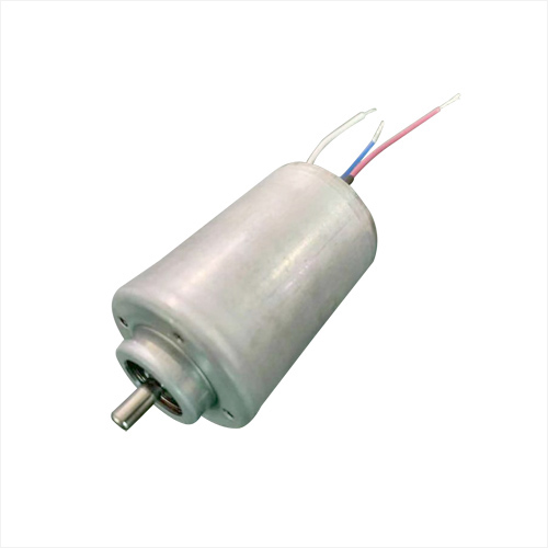 775-25(Can Motor) - Leshi Electric Machine Electric Appliance Co., Ltd